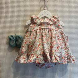 Jesusito Flores rojas